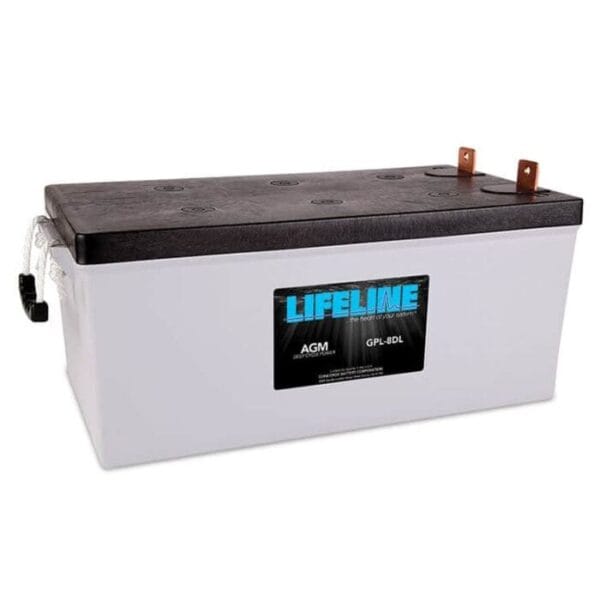 Batería AGM Lifeline - Imagen 4