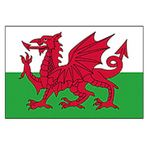Bandera País de Gales
