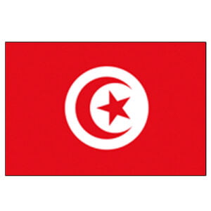 Bandera Túnez